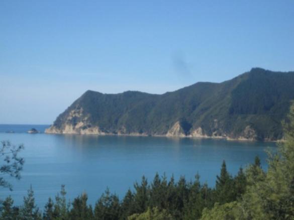 Bed and Breakfast Waipiro Bay Paradise Te Puia Zewnętrze zdjęcie