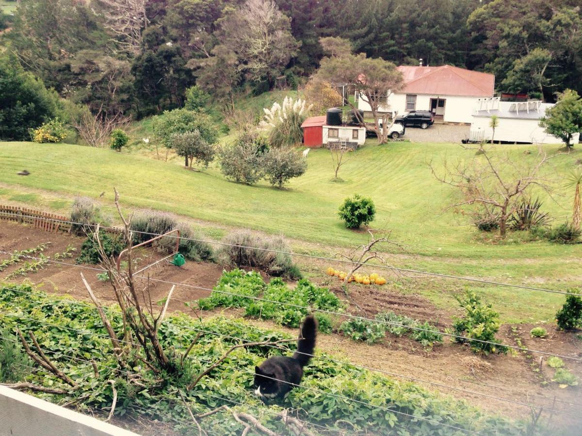 Bed and Breakfast Waipiro Bay Paradise Te Puia Zewnętrze zdjęcie